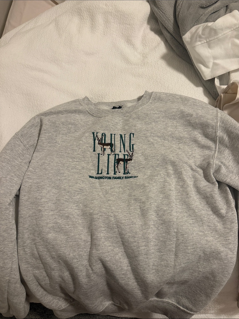 'Young Life' Gray Men's Crewneck Sweater